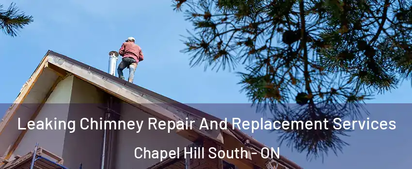 Leaking Chimney Repair And Replacement Services Chapel Hill South - ON