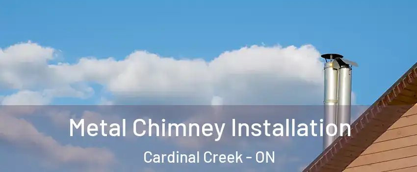  Metal Chimney Installation Cardinal Creek - ON