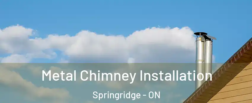  Metal Chimney Installation Springridge - ON