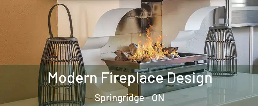  Modern Fireplace Design Springridge - ON