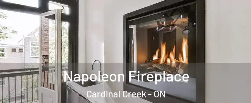  Napoleon Fireplace Cardinal Creek - ON