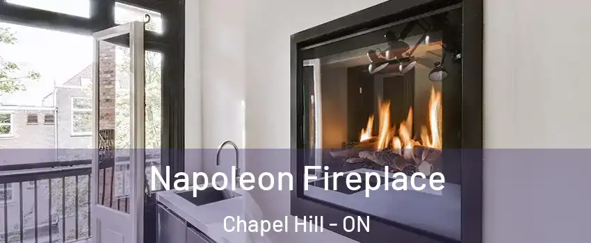  Napoleon Fireplace Chapel Hill - ON
