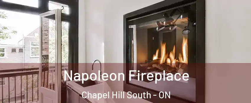  Napoleon Fireplace Chapel Hill South - ON