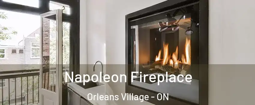 Napoleon Fireplace Orleans Village - ON