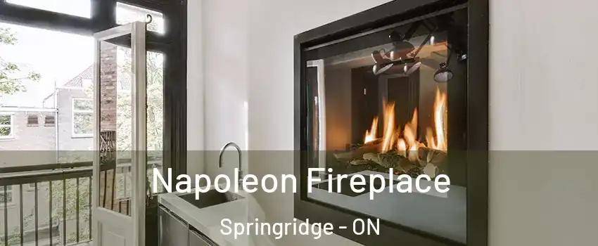  Napoleon Fireplace Springridge - ON