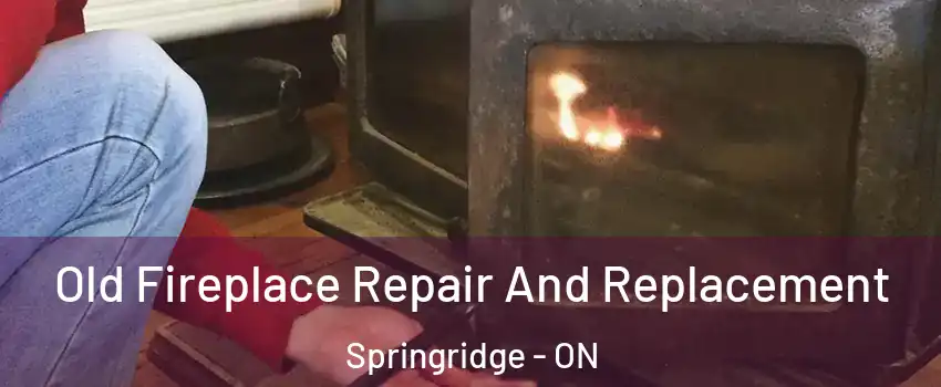 Old Fireplace Repair And Replacement Springridge - ON