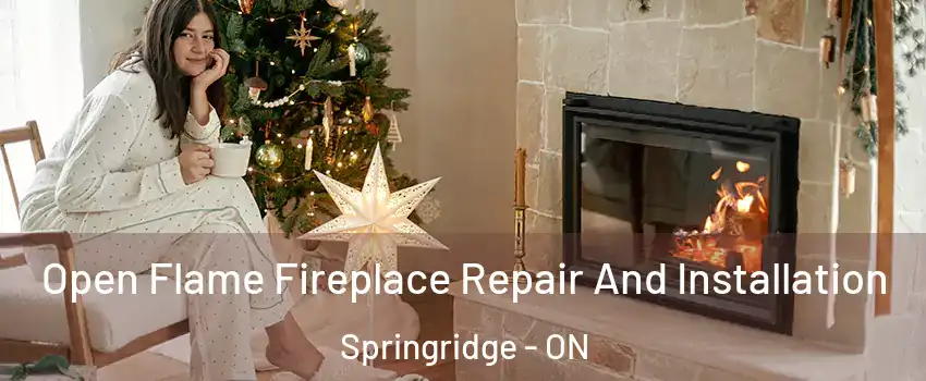 Open Flame Fireplace Repair And Installation Springridge - ON