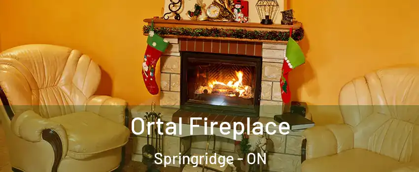 Ortal Fireplace Springridge - ON