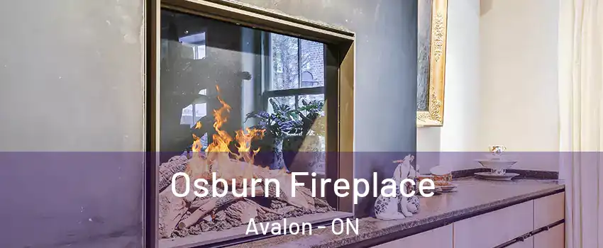  Osburn Fireplace Avalon - ON