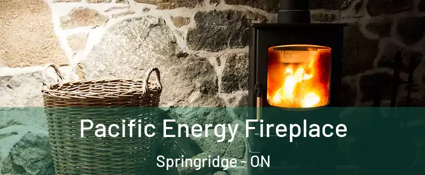  Pacific Energy Fireplace Springridge - ON