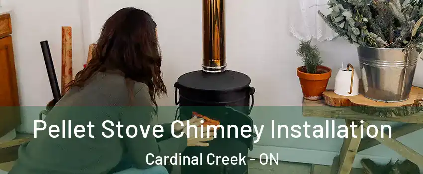  Pellet Stove Chimney Installation Cardinal Creek - ON