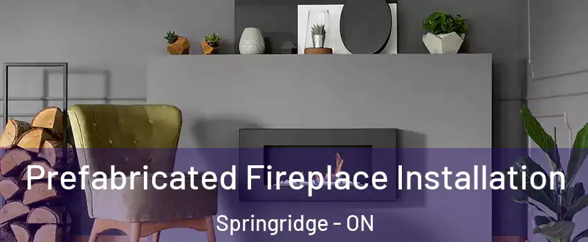  Prefabricated Fireplace Installation Springridge - ON