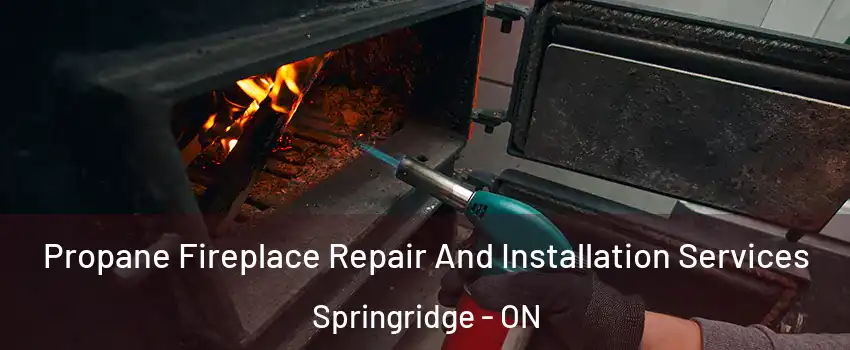 Propane Fireplace Repair And Installation Services Springridge - ON