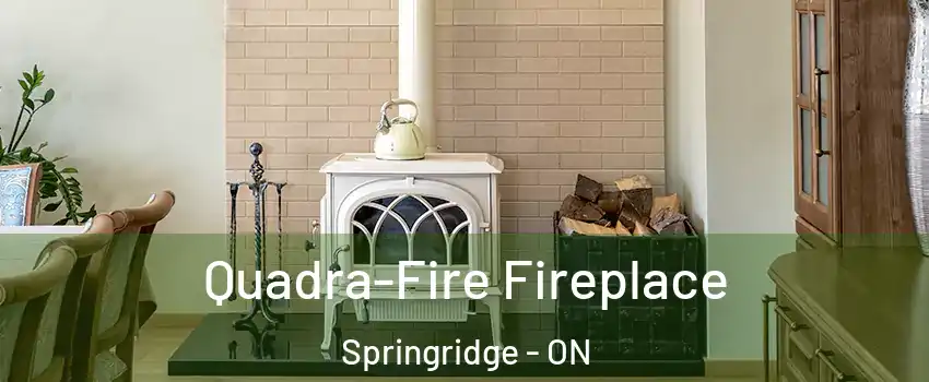 Quadra-Fire Fireplace Springridge - ON