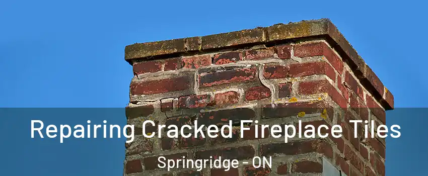  Repairing Cracked Fireplace Tiles Springridge - ON