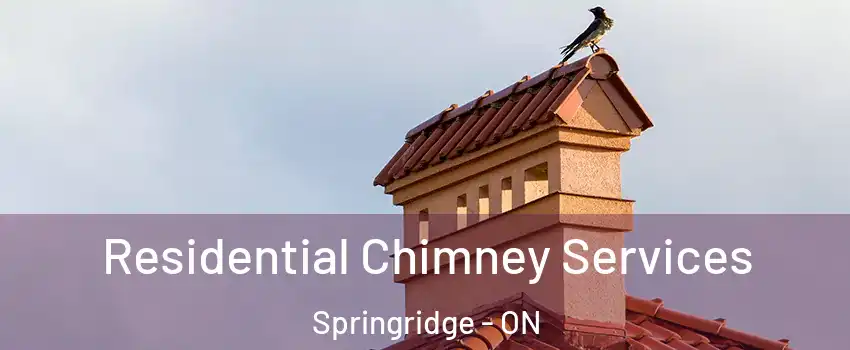  Residential Chimney Services Springridge - ON