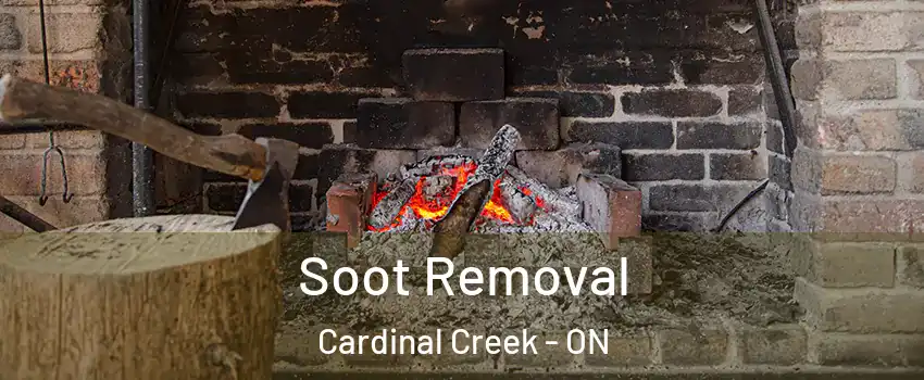  Soot Removal Cardinal Creek - ON