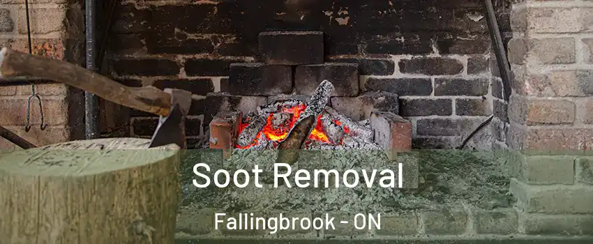  Soot Removal Fallingbrook - ON