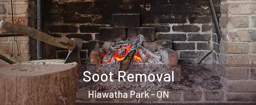  Soot Removal Hiawatha Park - ON