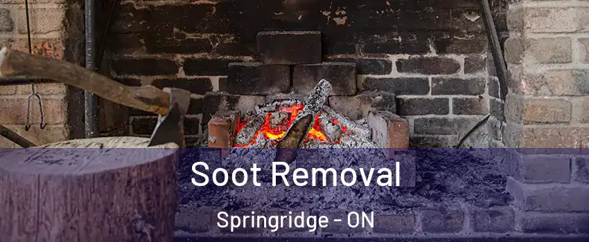 Soot Removal Springridge - ON