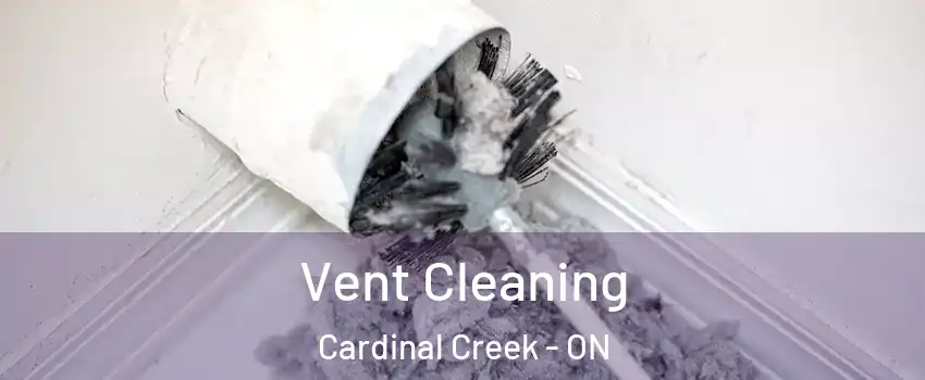  Vent Cleaning Cardinal Creek - ON