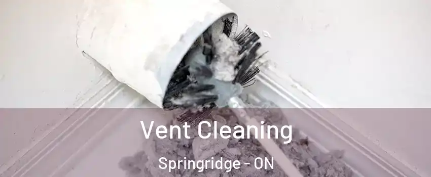 Vent Cleaning Springridge - ON