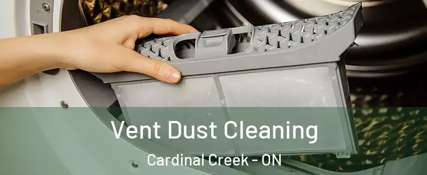  Vent Dust Cleaning Cardinal Creek - ON