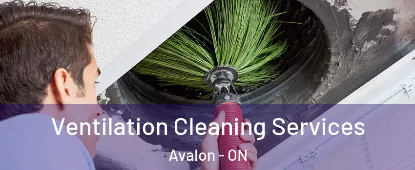  Ventilation Cleaning Services Avalon - ON