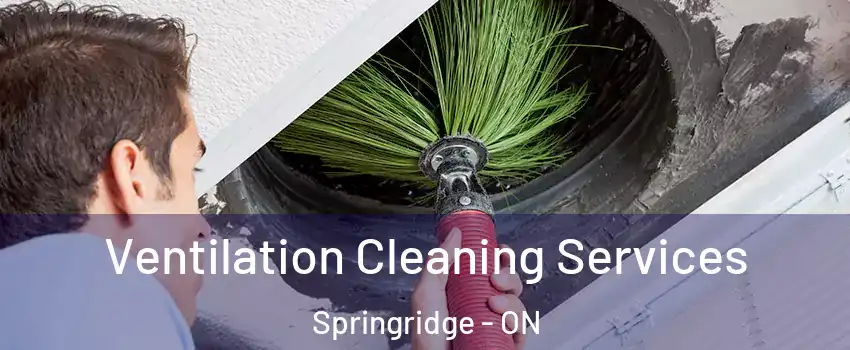  Ventilation Cleaning Services Springridge - ON