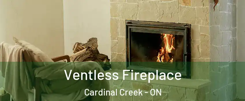  Ventless Fireplace Cardinal Creek - ON