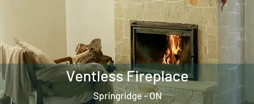  Ventless Fireplace Springridge - ON
