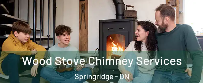 Wood Stove Chimney Services Springridge - ON