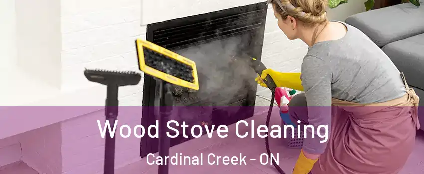 Wood Stove Cleaning Cardinal Creek - ON