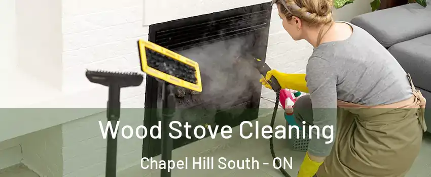 Wood Stove Cleaning Chapel Hill South - ON