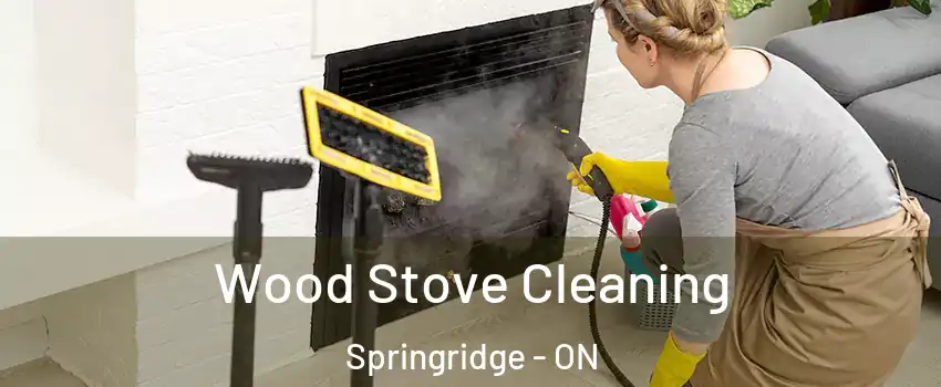 Wood Stove Cleaning Springridge - ON