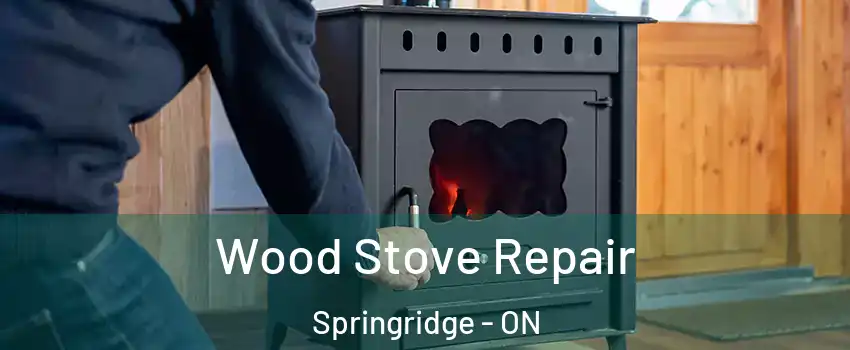Wood Stove Repair Springridge - ON